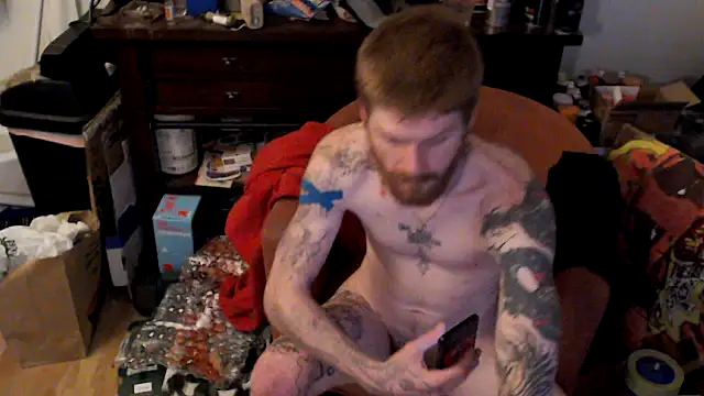 Show webcam de Magnetic127