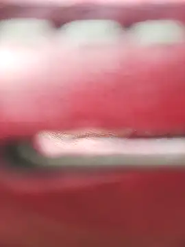 Necroforo Pertunjukan Webcam