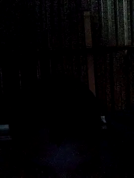 Max026_n Webbikameraesitys