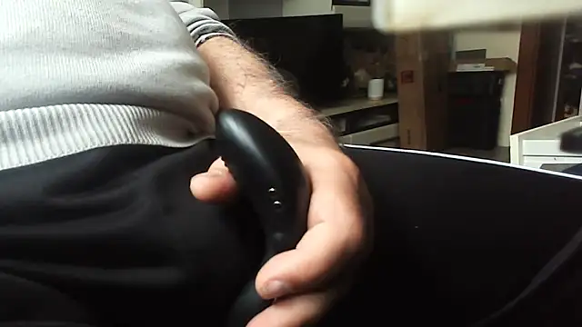 schwanzi_bearn Webbikameraesitys