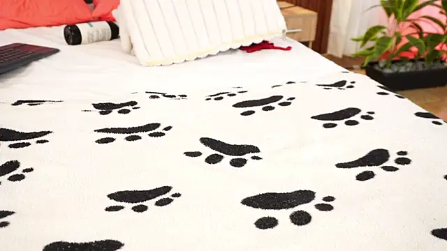 Chloe_Harriss Adlı Modelin Canlı XXX Sohbeti