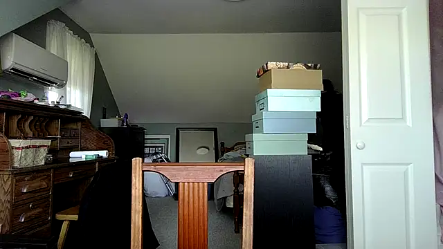 ShadowLove85: διαδικτυακό σόου στην κάμερα