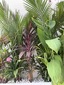 miss_tatiana_n Webbikameraesitys