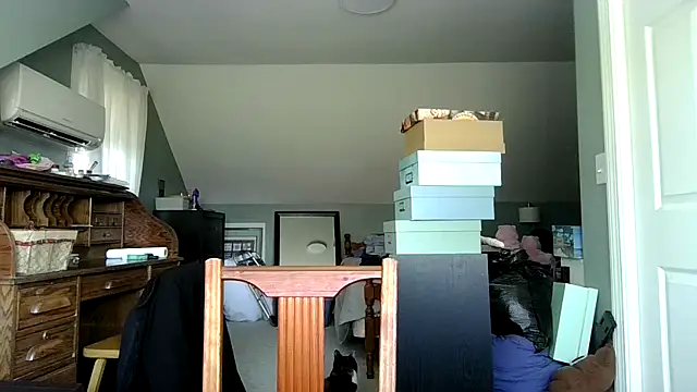 ShadowLove85: διαδικτυακό σόου στην κάμερα