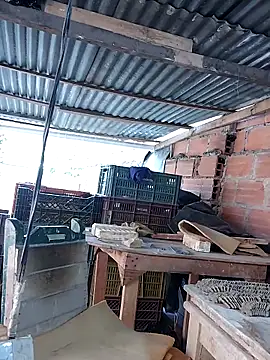 hoteder 网络视讯表演