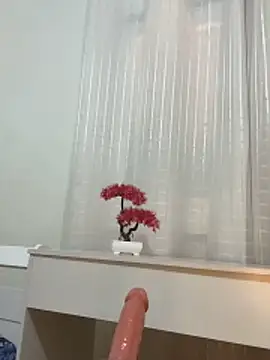 Show de Nicollebr na webcam