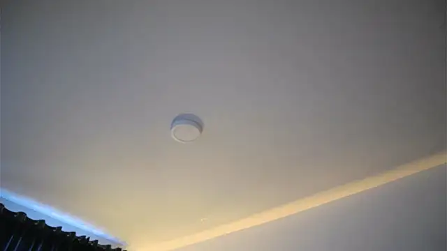 XXX chat uživo modela Daisha_Riley