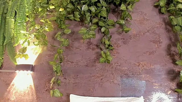 Chat XXX ao vivo de emily_hunter12