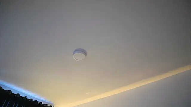 Daisha_Riley 现场XXX聊天