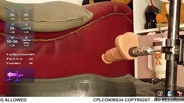 Show webcam de cplcokins34