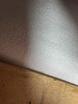 Show de TWOLOVEsX na webcam