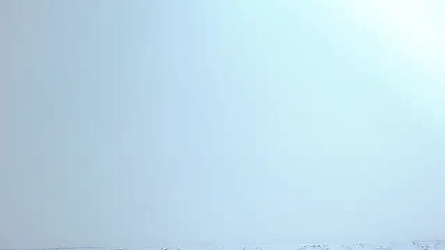 Czat XXX na żywo – Brhiana_Williamms