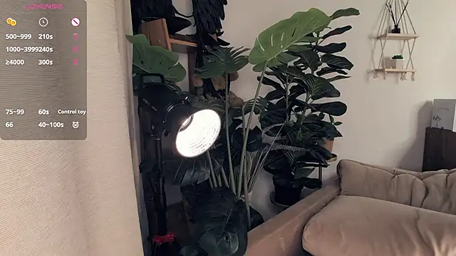 LaureMestler: διαδικτυακό σόου στην κάμερα