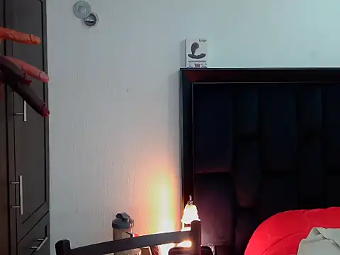 Philip_Reid_ Pertunjukan Webcam