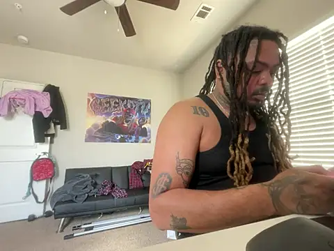 Show webcam de 4EVAGLACIERS