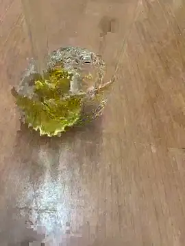 amineux Adlı Modelin Web Kamerası Şovu