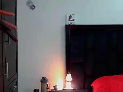 Philip_Reid_ webcam show