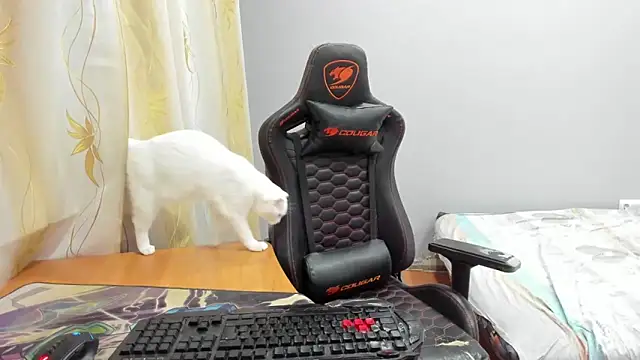 iliaskrisloveのウェブカメラショー