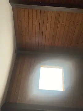 odbodu: διαδικτυακό σόου στην κάμερα