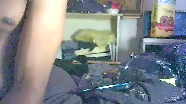 Show de GUAPAN3S3_FIR3 na webcam