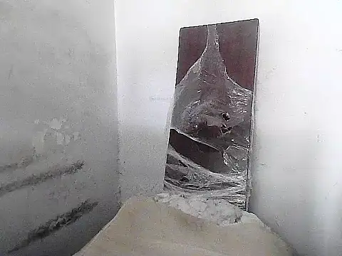 GordoChancludoSLP Show Webcam