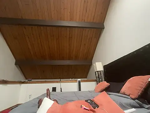 Show Webcam de odbodu