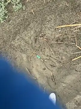 Jesssexboy – Kamerová šou