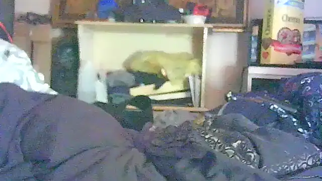 Živý XXX chat GUAPAN3S3_FIR3