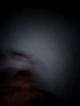 joselasensan Webbikameraesitys