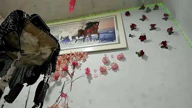 latintransbigcum Webcam show