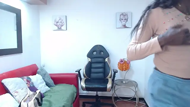 enderlisn Webbikameraesitys