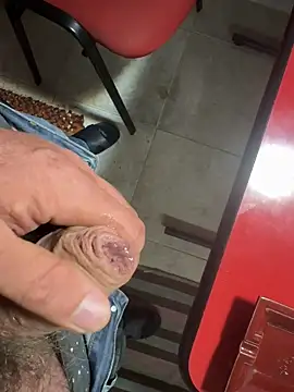 Show de Noitelivre na webcam