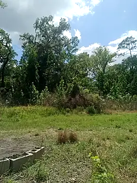 ShawnandDani7074 live XXX chat