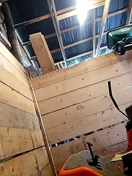 sweetdreams1991 웹캠 쇼