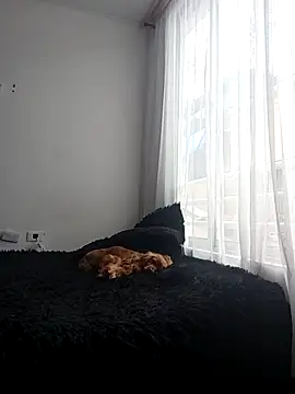 Fernandar2025 Live XXX-Chat