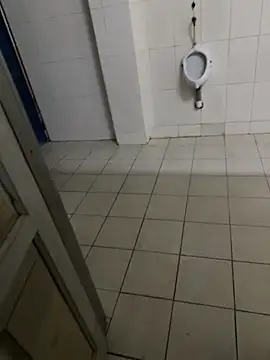 Black-mamba-madingo's Webcam Show