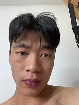 NV-1 网络视讯表演