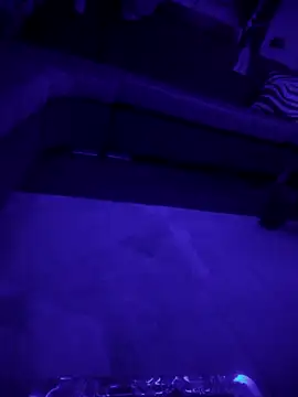 ReverseSurmise webkamerás műsora