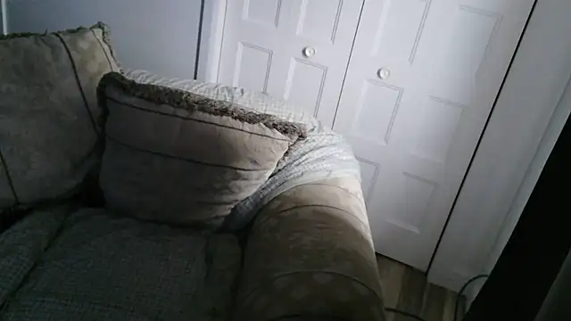 Show webcam de willywet