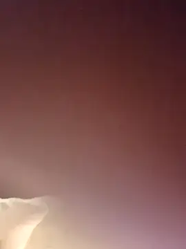 rotul-rotul Webcam show