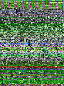 عرض كام hamstercpl