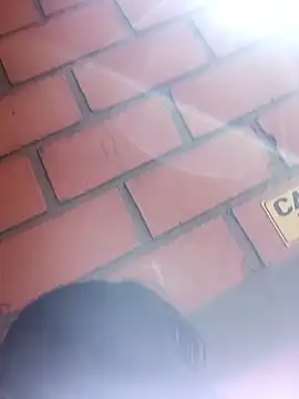 Show de webcam de Melinerd