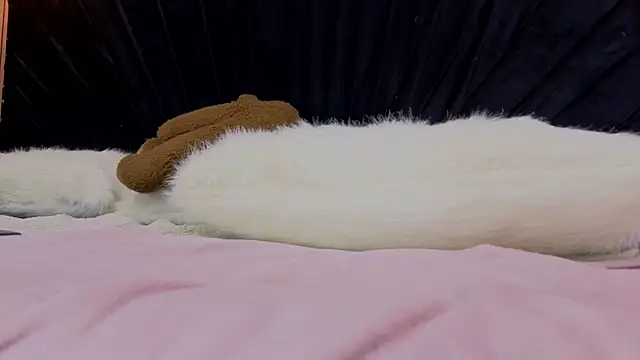 Megan-Horney- 现场XXX聊天