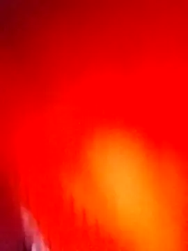 Wild_Vassu: διαδικτυακό σόου στην κάμερα