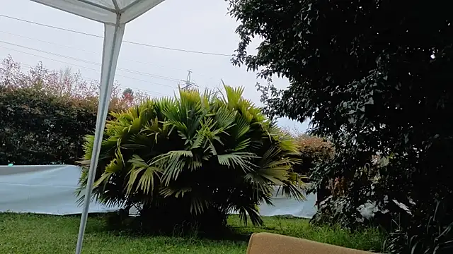 Angiehuston1 – Live XXX-chat