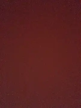 Yuri_k2 网络视讯表演