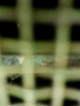 ipvk – Naživo XXX chat