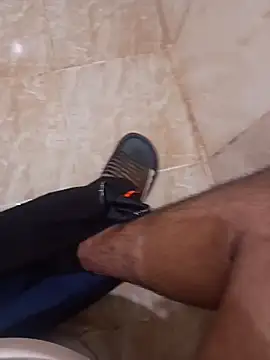 عرض كام Stallionbull37