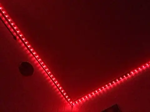 tattooed4you 웹캠 쇼