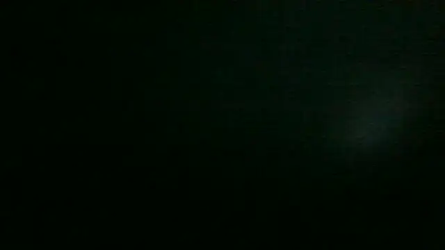 Chichoplus1 webcam show